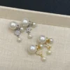 Dior Tribales Earrings