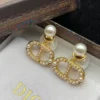 Dior Tribales Earrings
