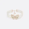 Dior Toile de Jouy Papillon Choker
