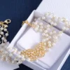 Dior Toile de Jouy Papillon Choker
