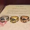 Panthère de Cartier rings medium model,half paved