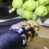 Panthère de Cartier rings medium model,half paved