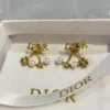Christian Dior Earring ,clover