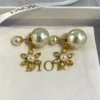 Dior CD Earrings