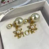 Dior CD Earrings
