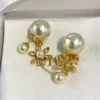Dior CD Earrings