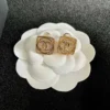 Chanel Cruise 2024/25 stud earrings , rose golden