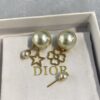 Dior Tribales Earrings