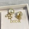 Dior Tribales Earrings