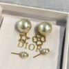 Dior Tribales Earrings
