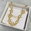 Dior Lucky Lace Bracelet Necklace